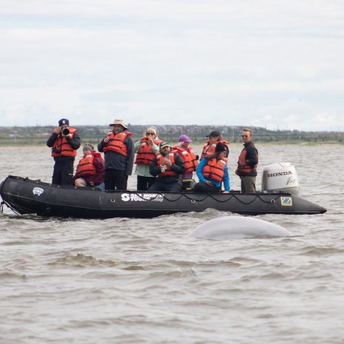 Zodiak Excursion. Photo Credit: Alex Cupeiro/Frontiers North Adventures.