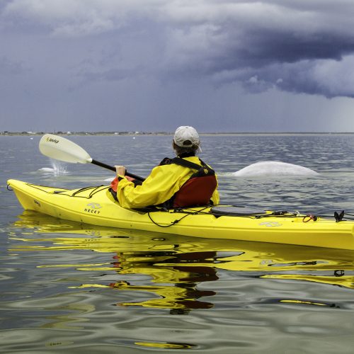 Kayaking with Belegus. Photo Credit Eric Lindberg/Frontiers Norther Adventures.