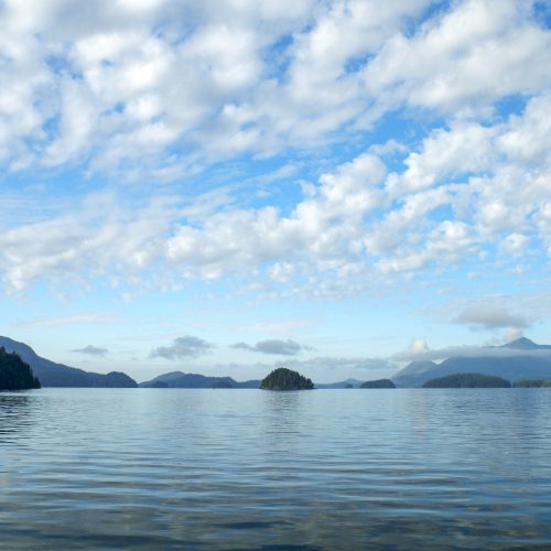 Nootka Sound. Photo credit: Wikimedia