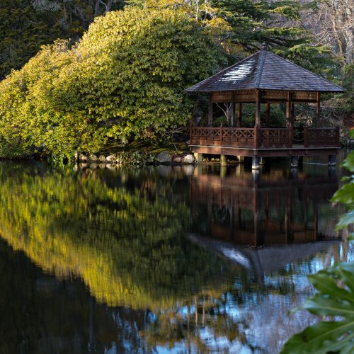 View at Hatley Castle Gardens. Photo credit: Gardens BC & Daniel Mosquin