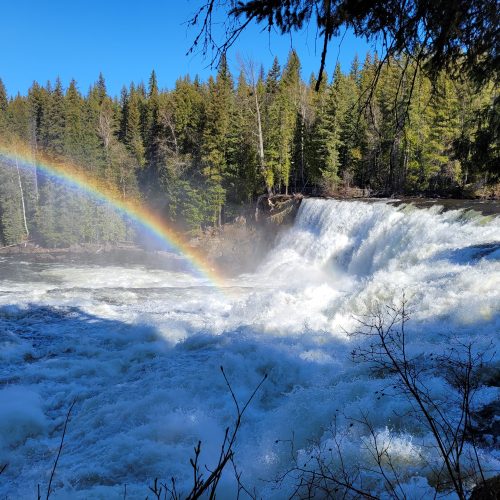 Dawson Falls with rainbow. Photo credit: Roland Neave.