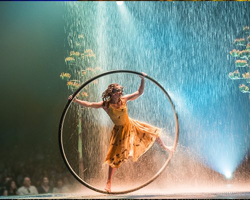 Cirque du Soleil LUZIA