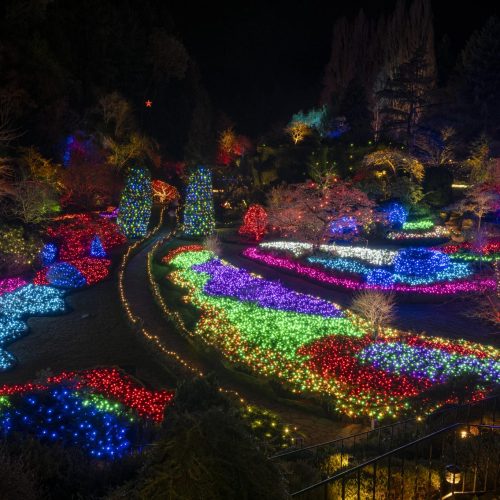 Butchart Festival of Lights. Photo credit: Butchart Gardens.